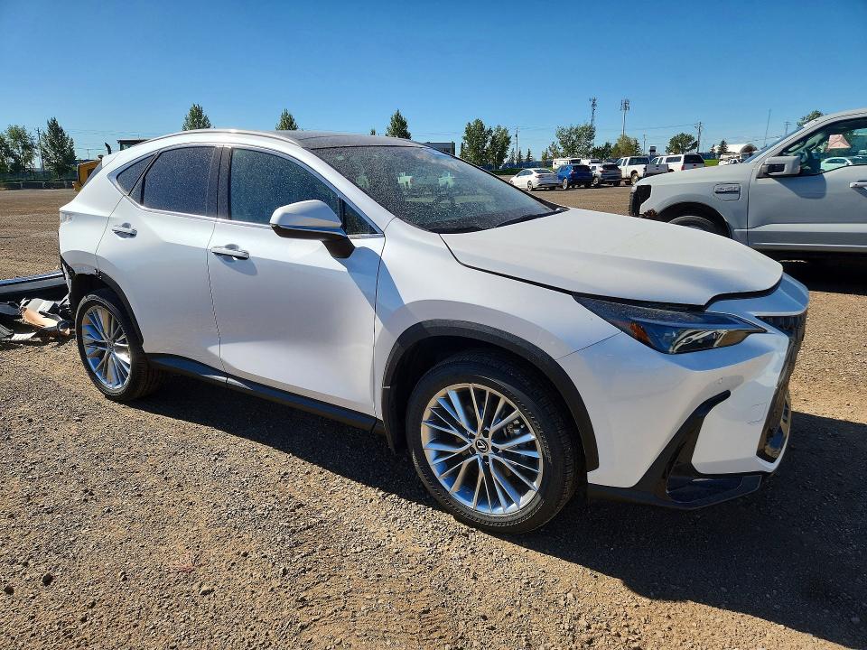 66389786 :رقم المزاد ، 2T2GKCEZXSC032721 vin ، 2025 Lexus Nx 350h مزاد بيع