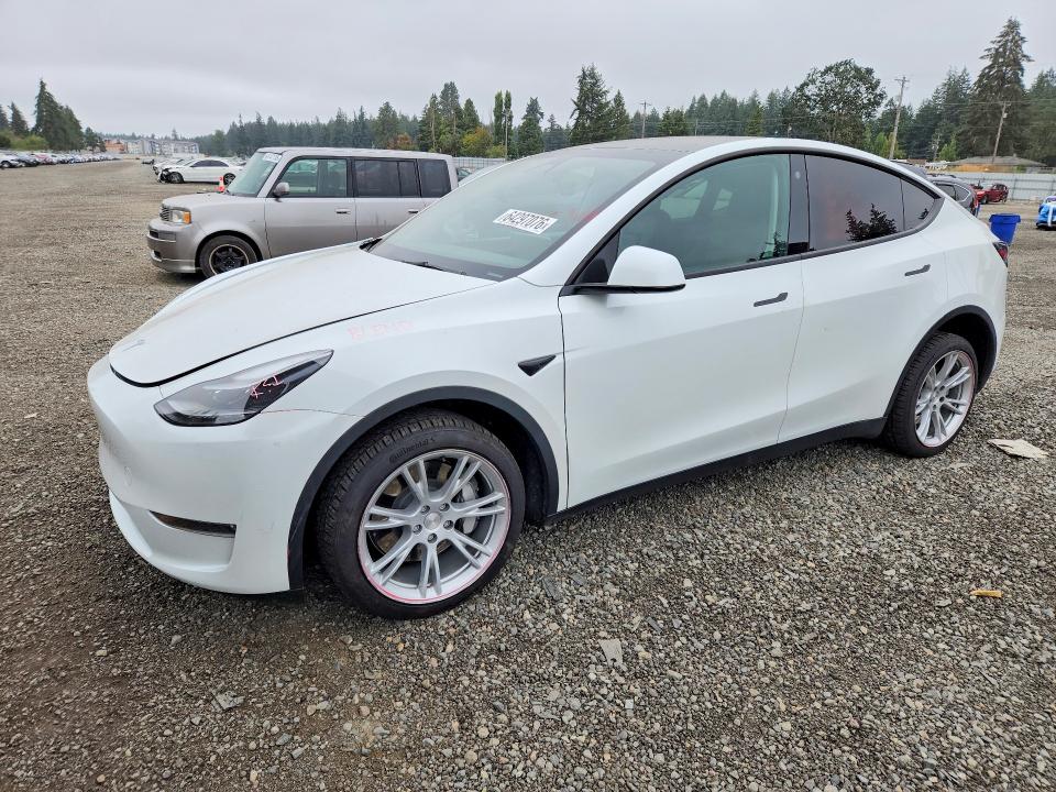 Продаж на аукціоні авто 2023 Tesla Model Y, vin: 7SAYGDEE2PF617456, номер лоту: 64297076