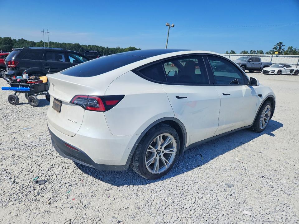 66232606 :رقم المزاد ، 5YJYGDEE2MF192992 vin ، 2021 Tesla Model Y مزاد بيع