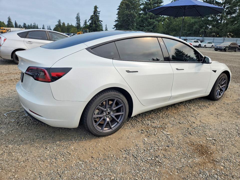 61448106 :رقم المزاد ، 5YJ3E1EA4PF641539 vin ، 2023 Tesla Model 3 مزاد بيع
