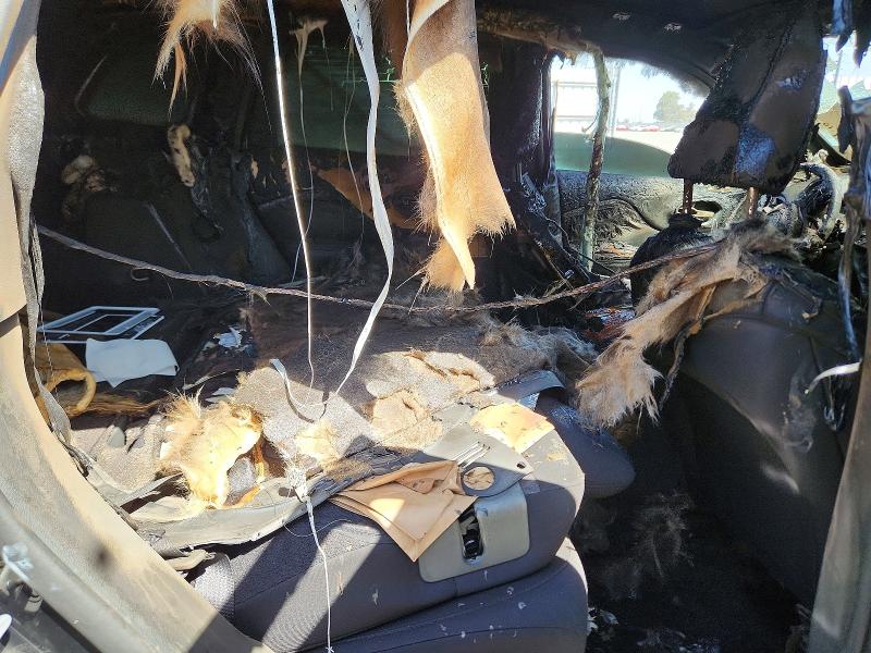 Aukcja sprzedaży 2019 Jeep Cherokee, vin: 1C4PJLCX7KD220172, numer aukcji: 66429126