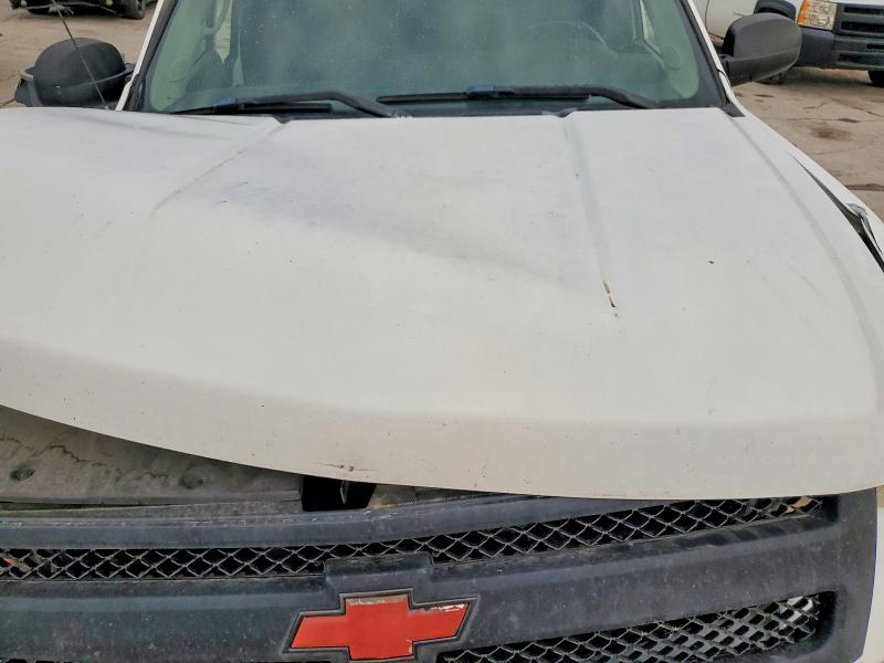 Продаж на аукціоні авто 2010 Chevrolet Silverado, vin: 1GCSCSE04AZ149545, номер лоту: 64543926