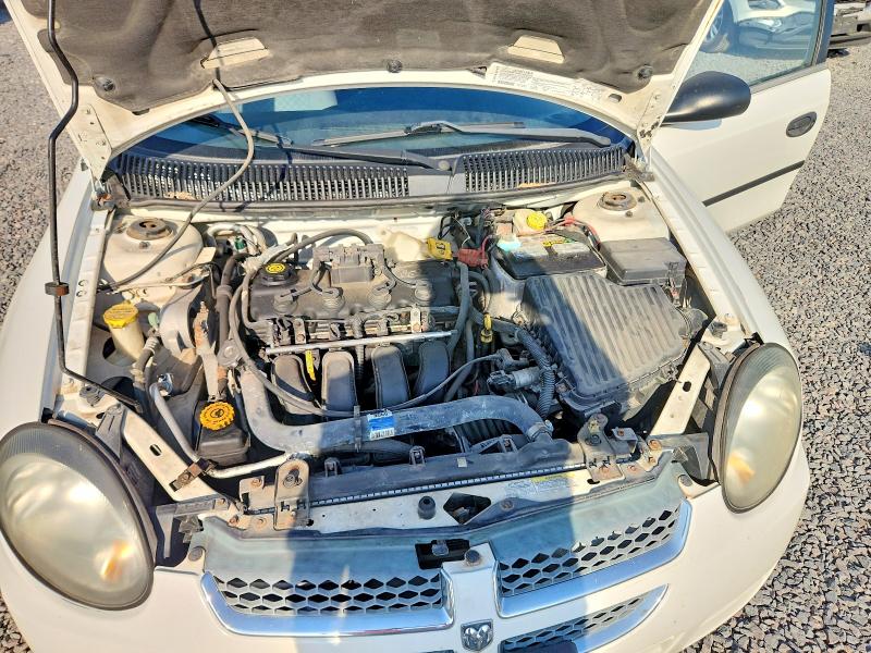 66587956 :رقم المزاد ، 1B3ES26C63D190561 vin ، 2003 Dodge Neon مزاد بيع