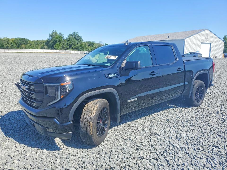 Продаж на аукціоні авто 2024 Gmc Sierra, vin: 3GTPUJEK3RG455839, номер лоту: 63754726
