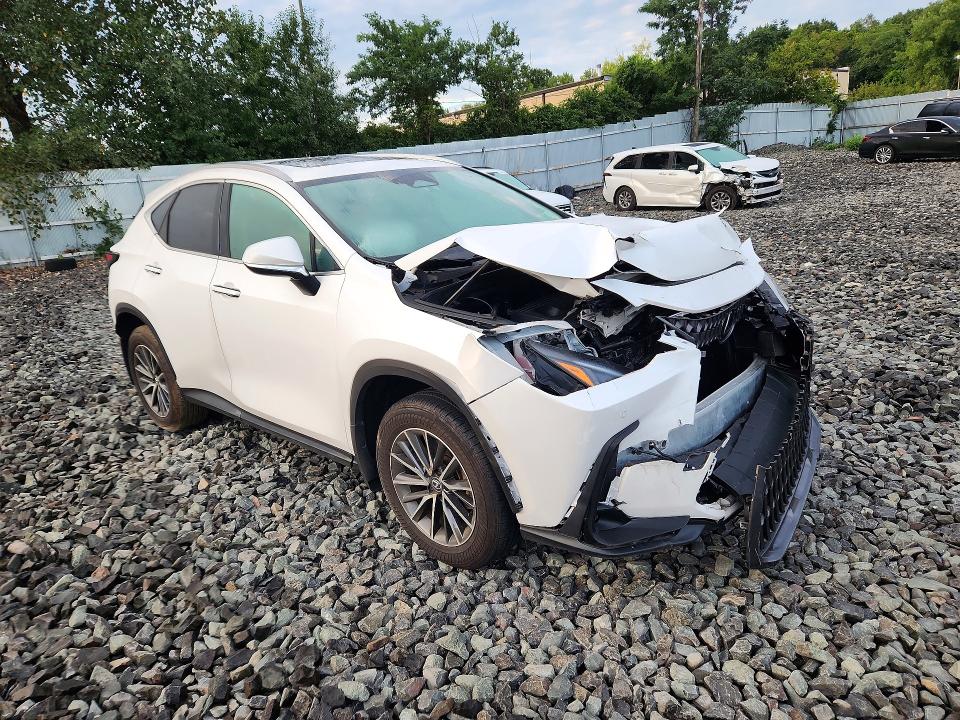 Продаж на аукціоні авто 2025 Lexus Nx 250, vin: 2T2ADCEZ9SC005509, номер лоту: 65487076