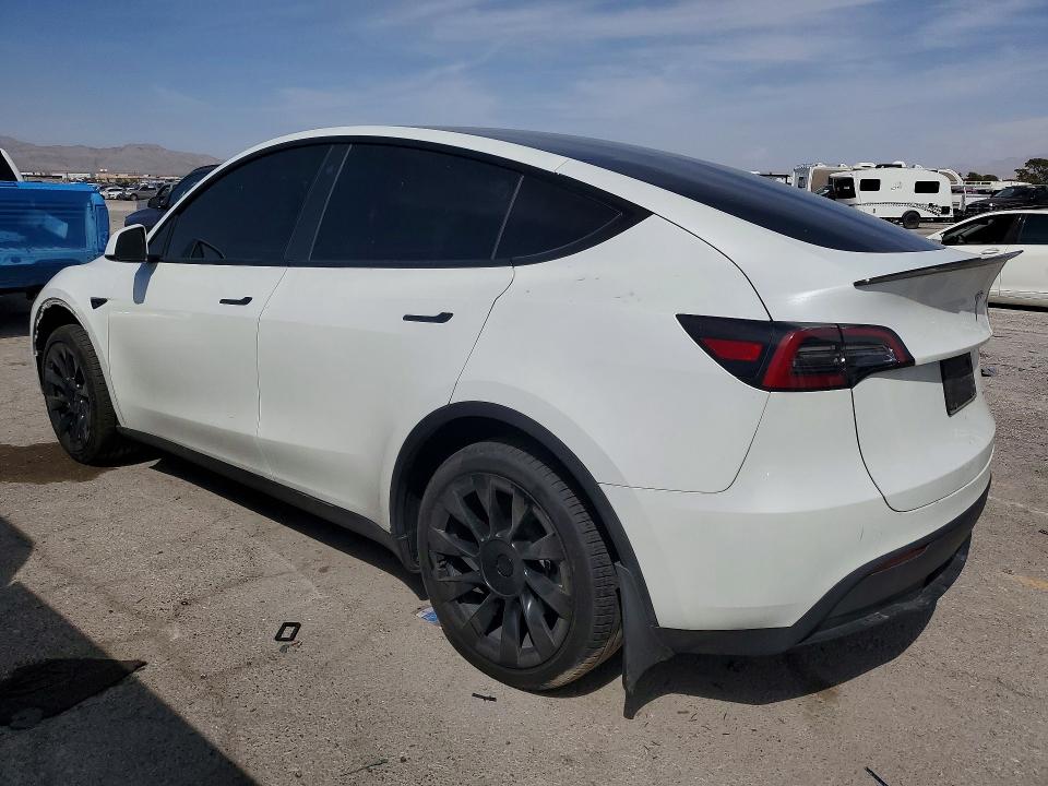 Продаж на аукціоні авто 2023 Tesla Model Y, vin: 7SAYGDEE1PA099479, номер лоту: 65908296