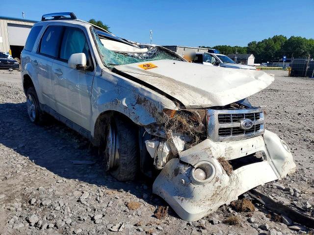 Продаж на аукціоні авто 2010 Ford Escape, vin: 1FMCU9EG5AKC71665, номер лоту: 63402246