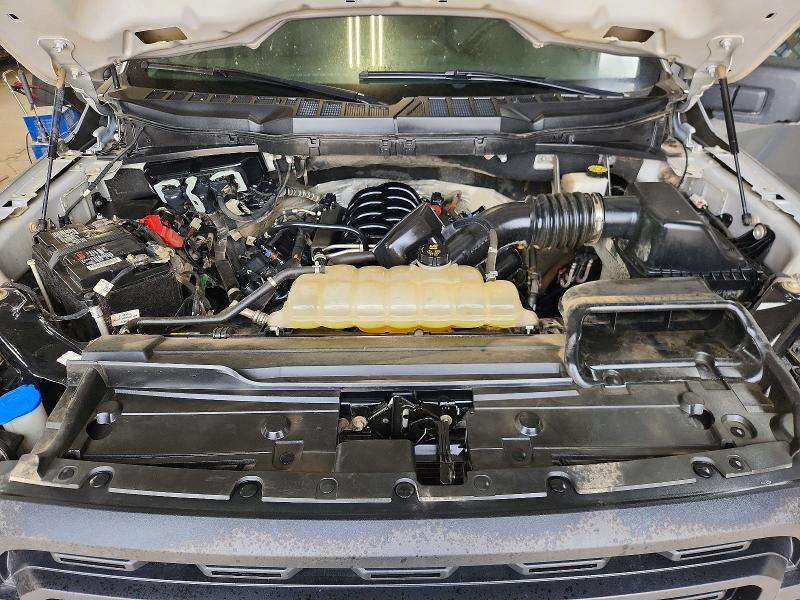 2023 Ford F150 მანქანა იყიდება აუქციონზე, vin: 1FTFW1E5XPKE03453, აუქციონის ნომერი: 63238026