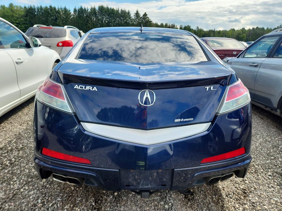 Продаж на аукціоні авто 2009 Acura Tl, vin: 19UUA96539A800855, номер лоту: 64964976
