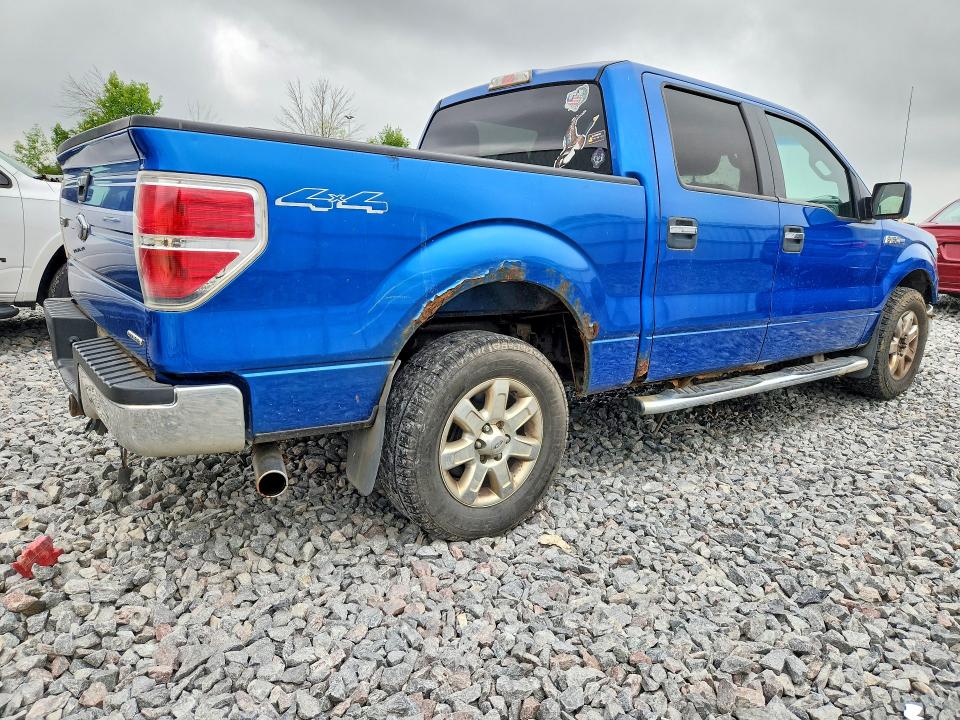 63952076 :رقم المزاد ، 1FTFW1EF9DKD81983 vin ، 2013 Ford F150 مزاد بيع