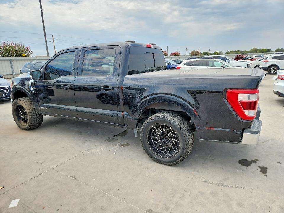 66343316 :رقم المزاد ، 1FTFW1CD8MFB77511 vin ، 2021 Ford F150 مزاد بيع