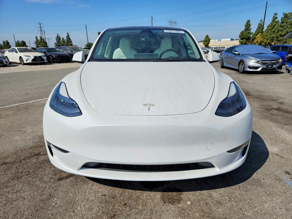 Aukcja sprzedaży 2024 Tesla Model Y, vin: 7SAYGDEF6RF113813, numer aukcji: 62891906