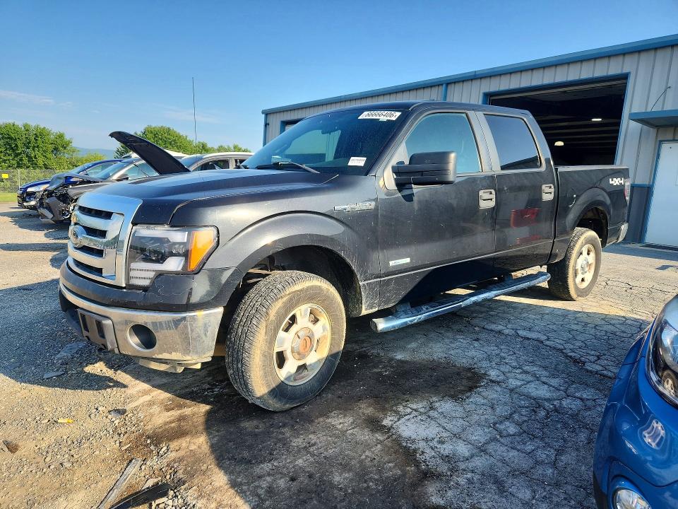 Продажа на аукционе авто 2012 Ford F150, vin: 1FTFW1ETXCKD17858, номер лота: 66666406