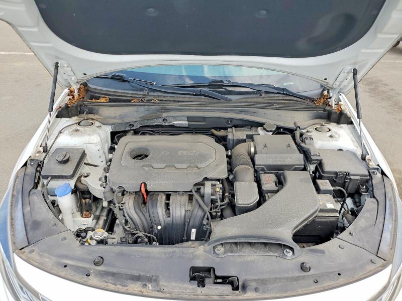 64084276 :رقم المزاد ، 5XXGT4L37KG340170 vin ، 2019 Kia Optima مزاد بيع
