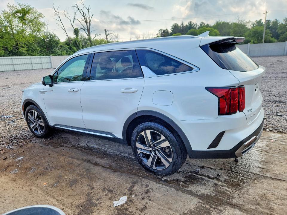 63595736 :رقم المزاد ، KNDRKDLG0P5171538 vin ، 2023 Kia Sorento مزاد بيع