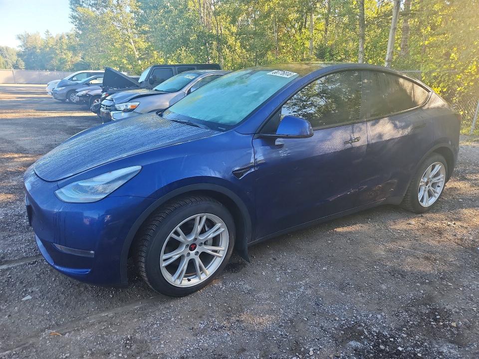 2021 Tesla Model Y მანქანა იყიდება აუქციონზე, vin: 5YJYGDEE4MF185557, აუქციონის ნომერი: 66776846