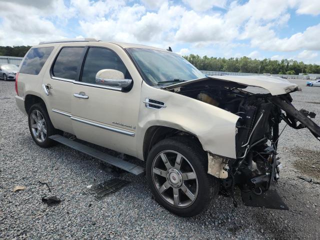 Продаж на аукціоні авто 2009 Cadillac Escalade, vin: 1GYFK23279R131331, номер лоту: 64263626