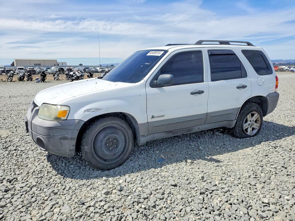 65499916 :رقم المزاد ، 1FMCU49H97KA66185 vin ، 2007 Ford Escape مزاد بيع