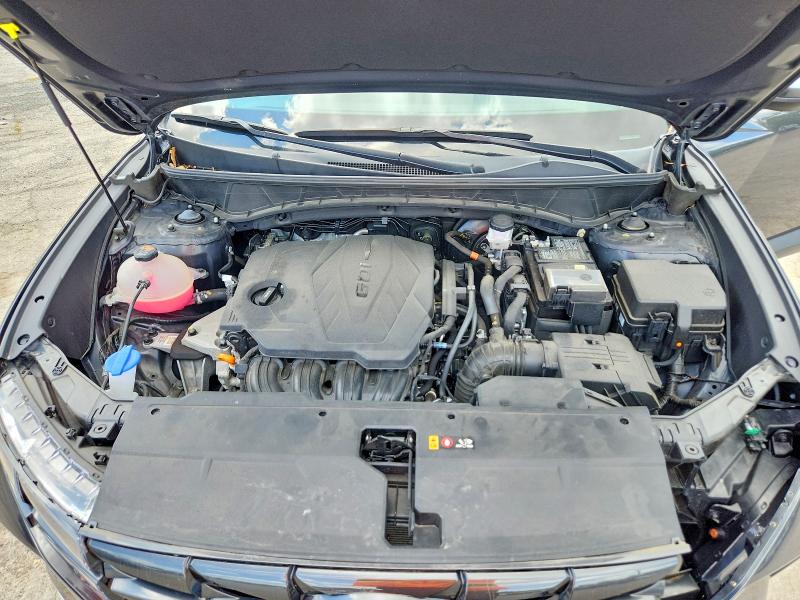 Продаж на аукціоні авто 2024 Hyundai Tucson, vin: 5NMJBCDE9RH319268, номер лоту: 66709076