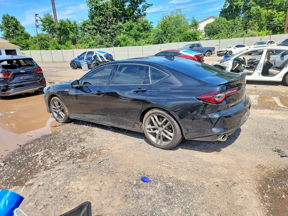 Продажа на аукционе авто 2025 Acura Tlx, vin: 19UUB6F56SA004506, номер лота: 63404716