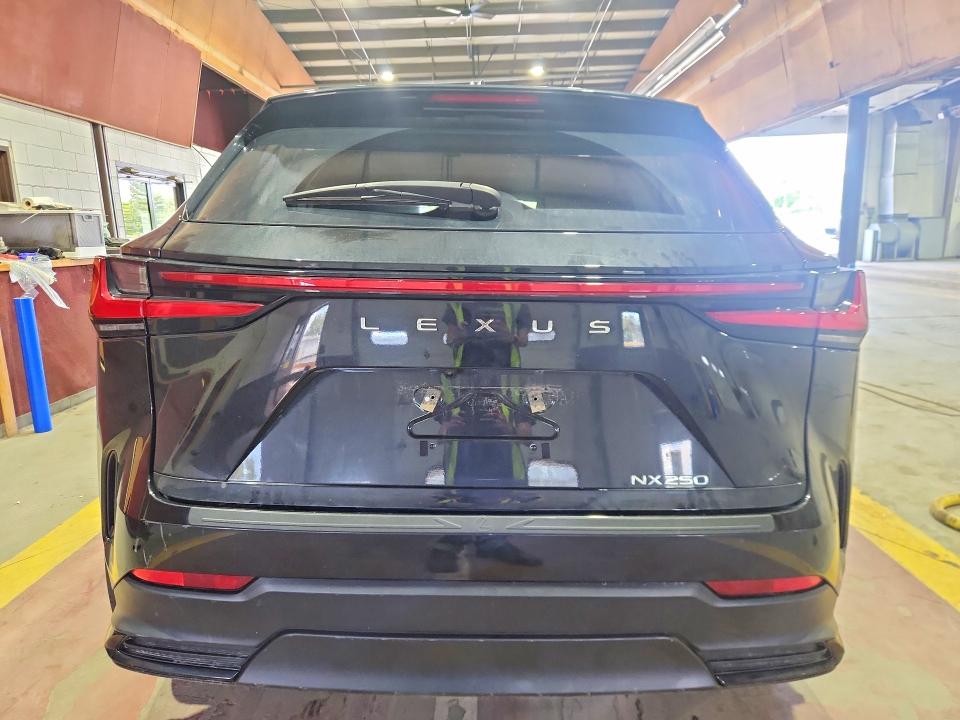 Aukcja sprzedaży 2024 Lexus Nx 250, vin: 2T2ADCAZ5RC009847, numer aukcji: 65842746