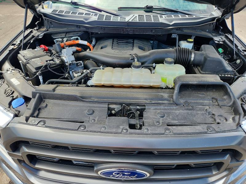 2023 Ford F150 მანქანა იყიდება აუქციონზე, vin: 1FTFW1EDXPFB31597, აუქციონის ნომერი: 65285286