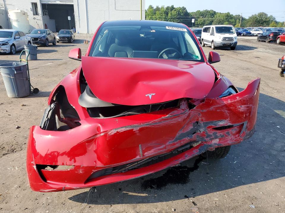 Продаж на аукціоні авто 2023 Tesla Model Y, vin: 7SAYGDEE1PF702613, номер лоту: 63815076