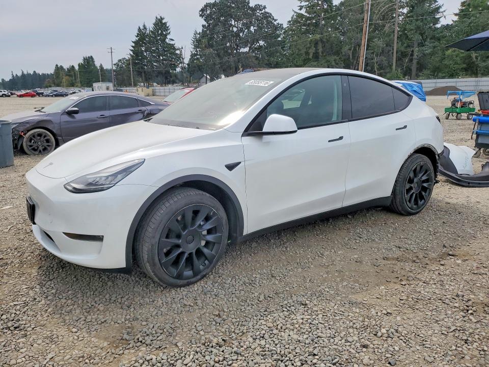 65055116 :رقم المزاد ، 5YJYGDEE8LF020237 vin ، 2020 Tesla Model Y مزاد بيع