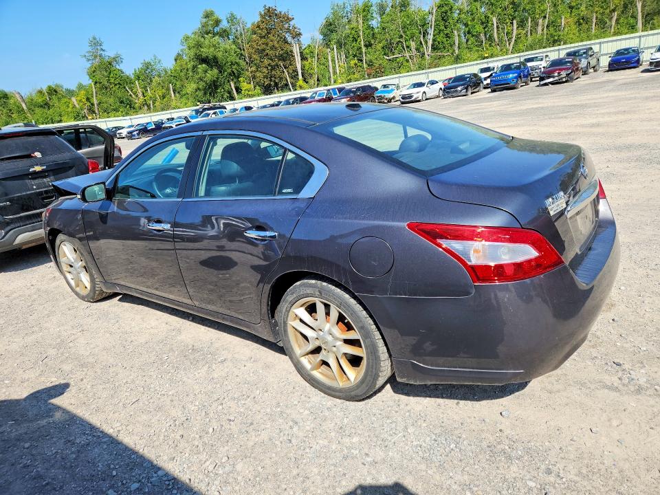Продаж на аукціоні авто 2011 Nissan Maxima, vin: 1N4AA5AP2BC833896, номер лоту: 66209086