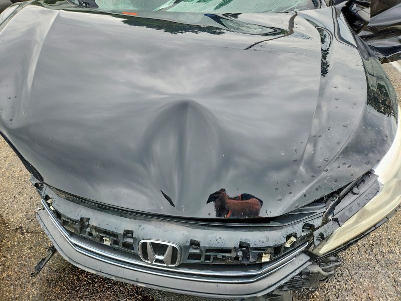65361306 :رقم المزاد ، 1HGCR2F17HA219026 vin ، 2017 Honda Accord مزاد بيع