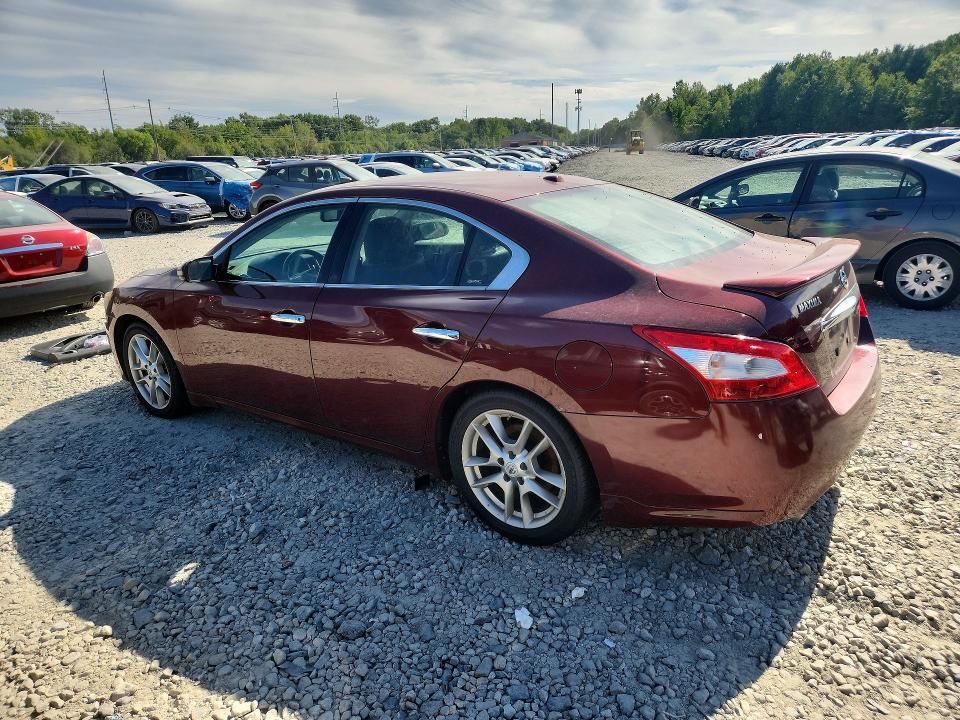 67000936 :رقم المزاد ، 1N4AA5AP0AC813080 vin ، 2010 Nissan Maxima مزاد بيع