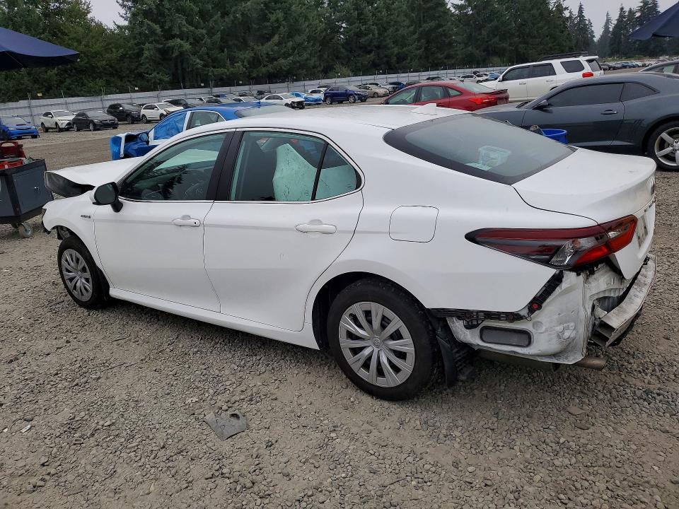 64553006 :رقم المزاد ، 4T1C31AK6MU549982 vin ، 2021 Toyota Camry مزاد بيع