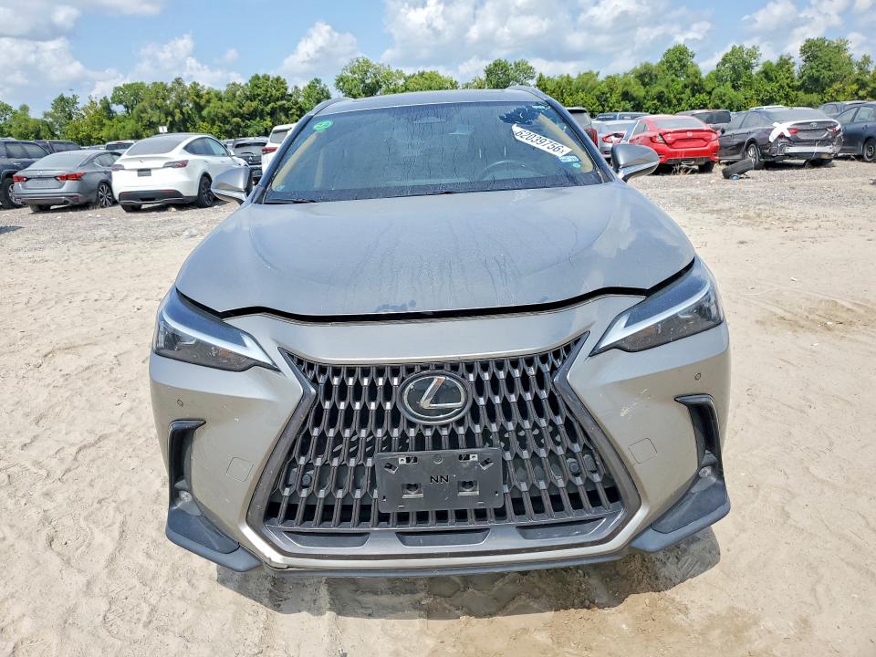 Aukcja sprzedaży 2024 Lexus Nx, vin: 2T2GGCEZ6RC036941, numer aukcji: 62039756