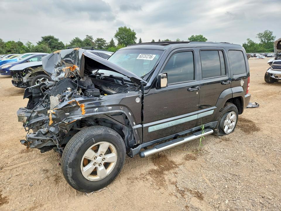 Продаж на аукціоні авто 2010 Jeep Liberty, vin: 1J4PN2GK2AW125433, номер лоту: 63737216