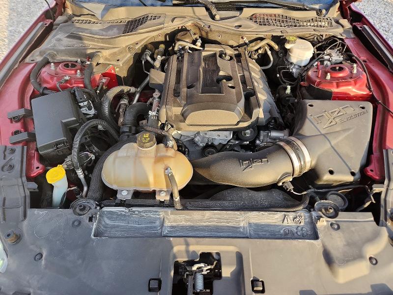 64082706 :رقم المزاد ، 1FA6P8TH1K5187704 vin ، 2019 Ford Mustang مزاد بيع