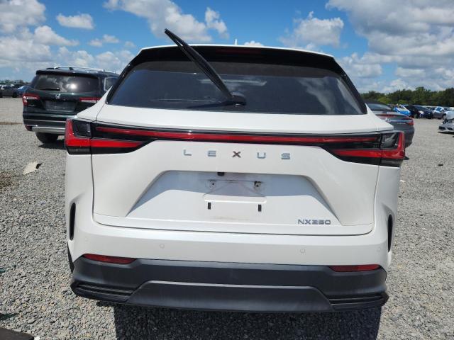 65522156 :رقم المزاد ، 2T2GDCAZ8RC009061 vin ، 2024 Lexus Nx مزاد بيع
