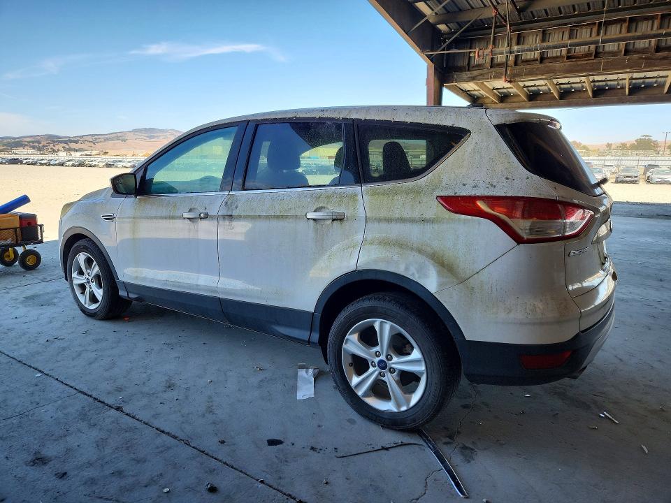Продаж на аукціоні авто 2014 Ford Escape, vin: 1FMCU0GX9EUC38896, номер лоту: 64864536
