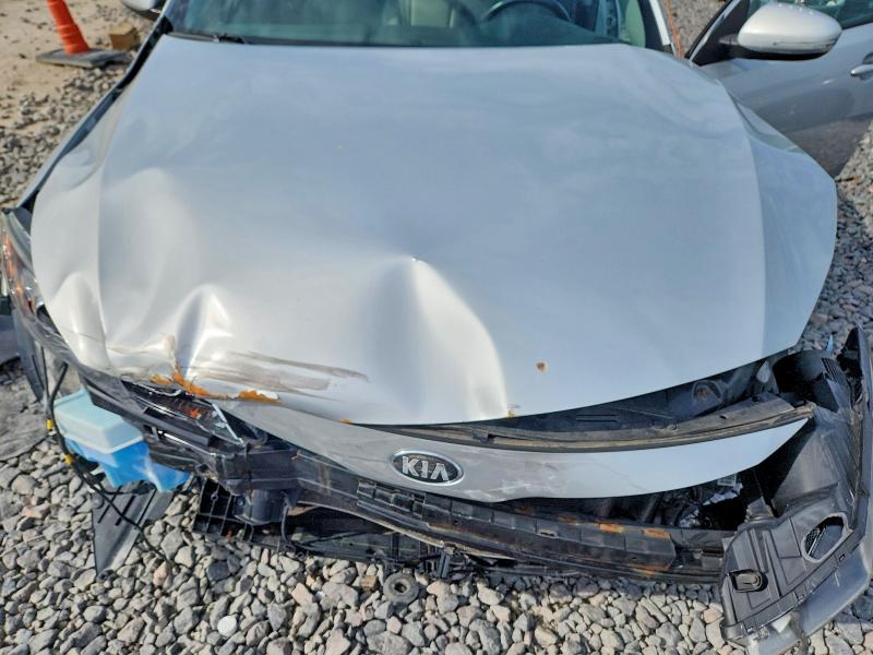 Aukcja sprzedaży 2013 Kia Optima, vin: 5XXGN4A71DG241315, numer aukcji: 66005086