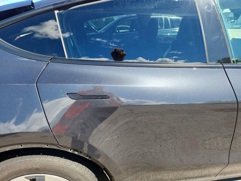 Auction sale of the 2024 Tesla Model Y, vin: 7SAYGDEE1RF034198, lot number: 66368296