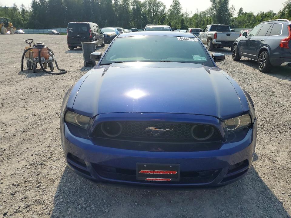 64862186 :رقم المزاد ، 1ZVBP8AMXE5299248 vin ، 2014 Ford Mustang مزاد بيع