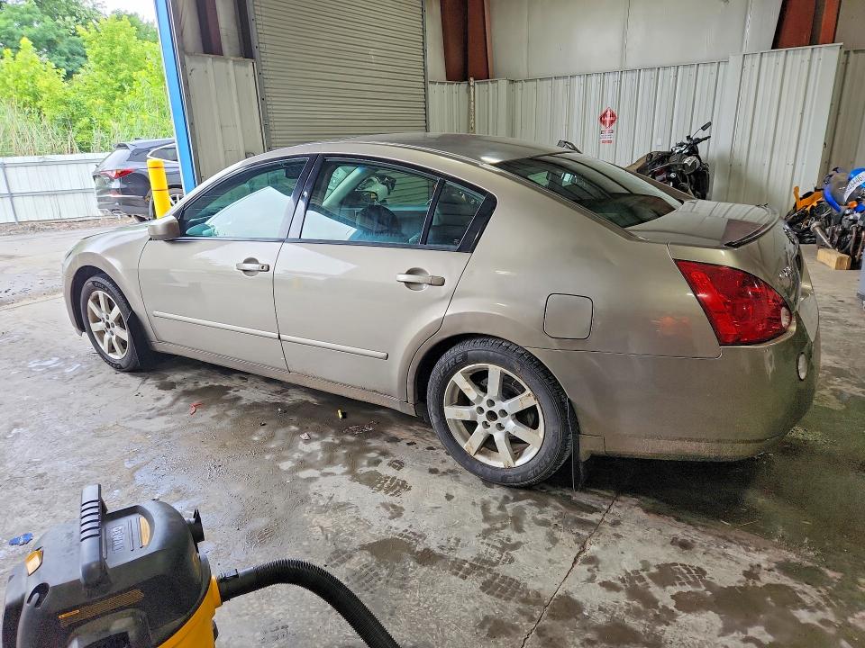 Продаж на аукціоні авто 2006 Nissan Maxima, vin: 1N4BA41E26C859269, номер лоту: 65480346