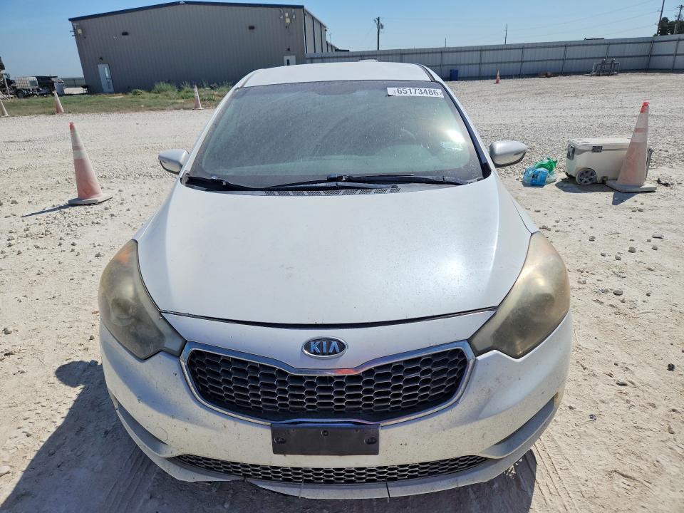 65173486 :رقم المزاد ، KNAFX4A66E5204096 vin ، 2014 Kia Forte مزاد بيع