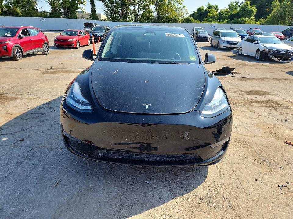Продаж на аукціоні авто 2023 Tesla Model Y, vin: 7SAYGDEE8PA158270, номер лоту: 66000576
