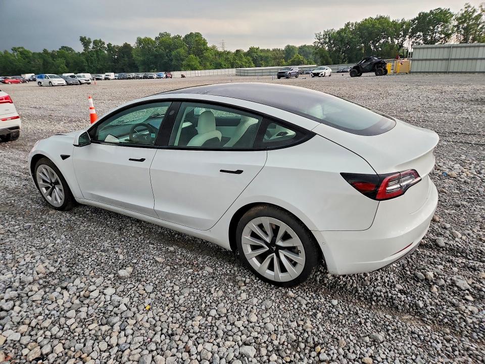 Auction sale of the 2021 Tesla Model 3, vin: 5YJ3E1EA1MF874581, lot number: 64610326