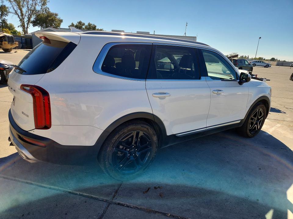 Продаж на аукціоні авто 2020 Kia Telluride, vin: 5XYP3DHC5LG076887, номер лоту: 65573856