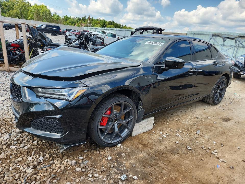 Продаж на аукціоні авто 2024 Acura Tlx, vin: 19UUB7F00RA800009, номер лоту: 66728486