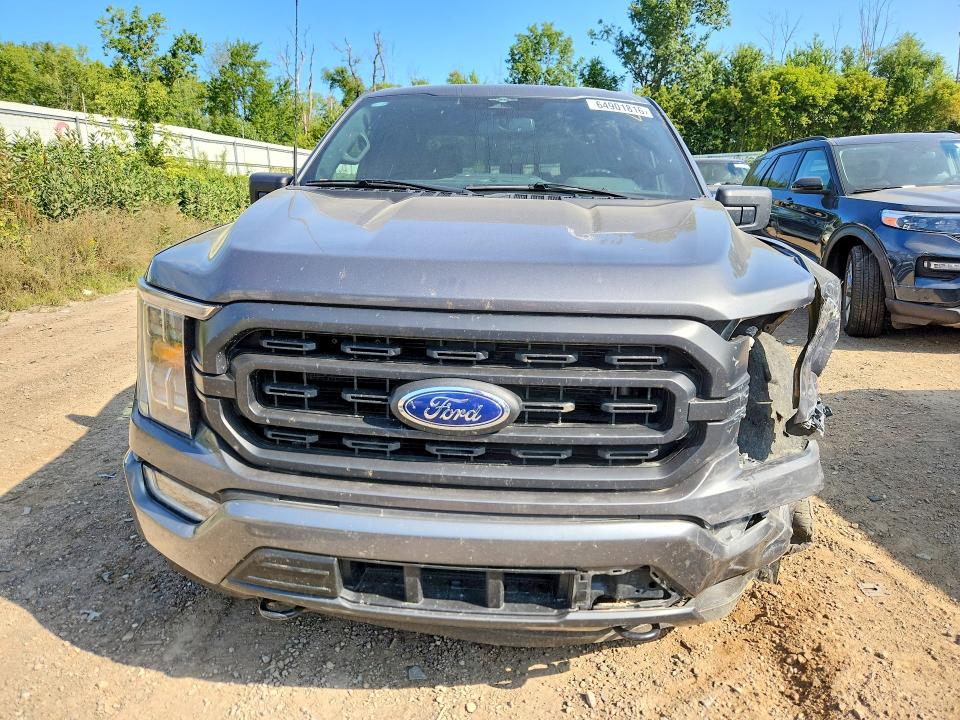 2023 Ford F150 მანქანა იყიდება აუქციონზე, vin: 1FTEW1EP6PKG02450, აუქციონის ნომერი: 64901816