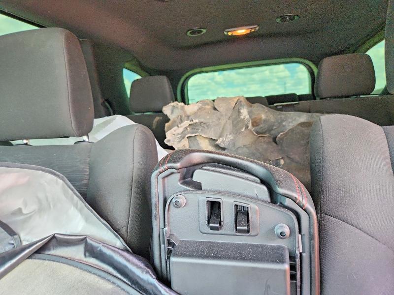Продаж на аукціоні авто 2025 Dodge Durango, vin: 1C4RDHDG0SC523974, номер лоту: 64405696