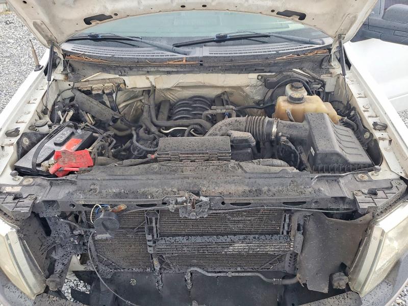 Продаж на аукціоні авто 2012 Ford F150, vin: 1FTFX1EF7CFB16242, номер лоту: 65174766