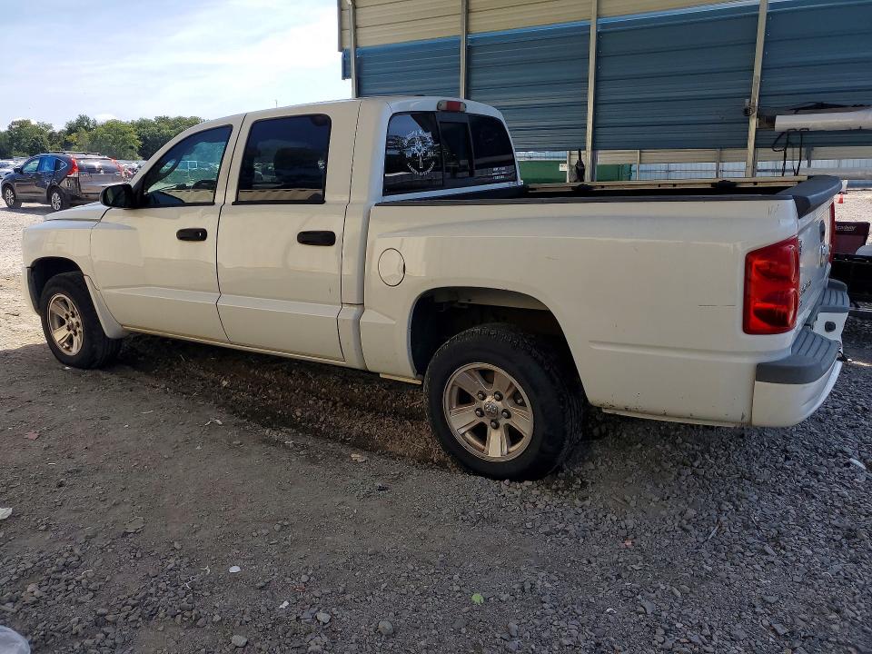 2008 Dodge Dakota მანქანა იყიდება აუქციონზე, vin: 1D7HE48N68S506028, აუქციონის ნომერი: 65417506